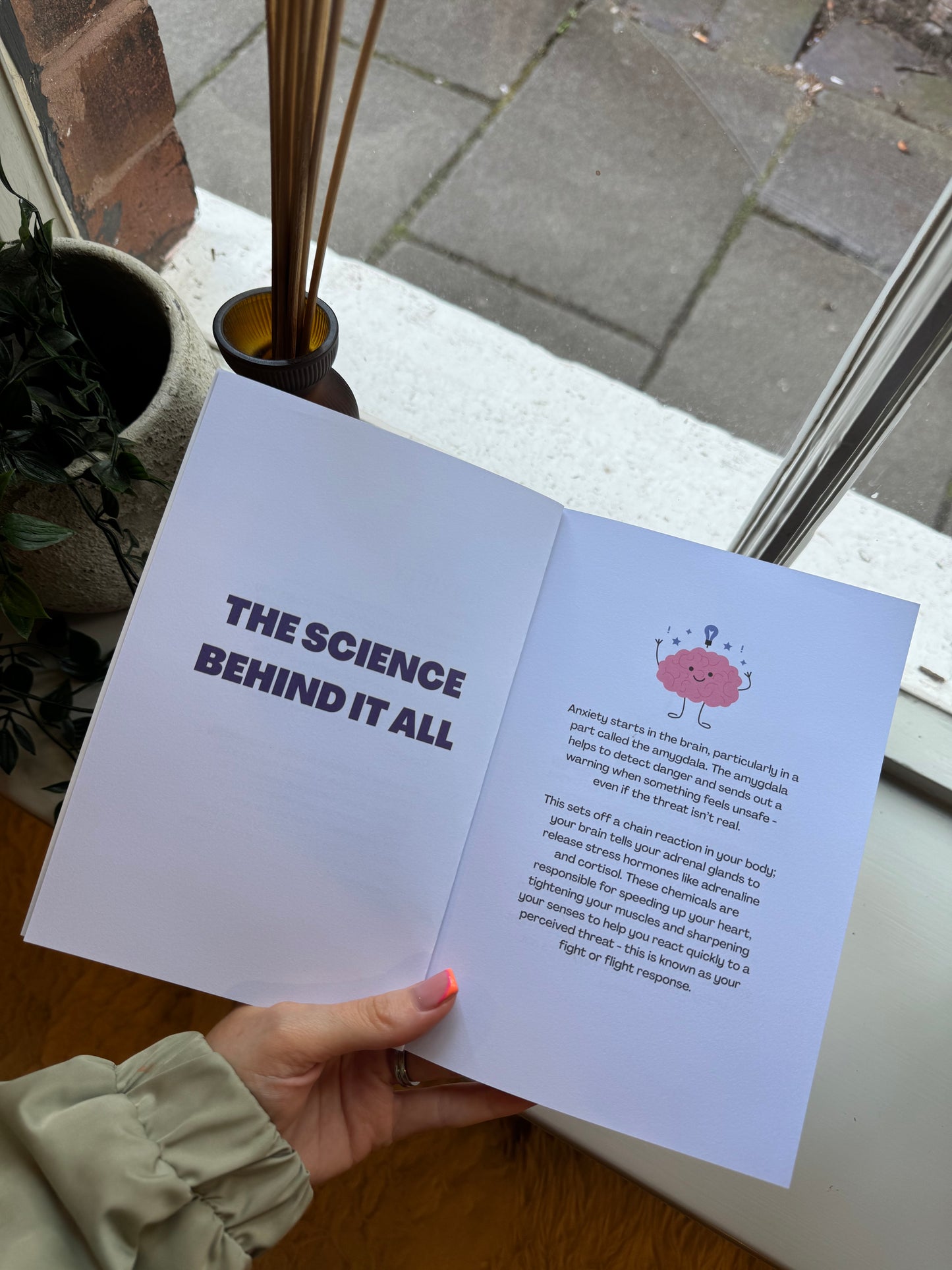 The Little Book of Anxiety